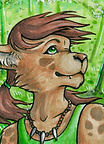 ACEO Tracey