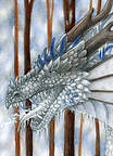 Joy of winter