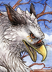 ACEO Illumielle